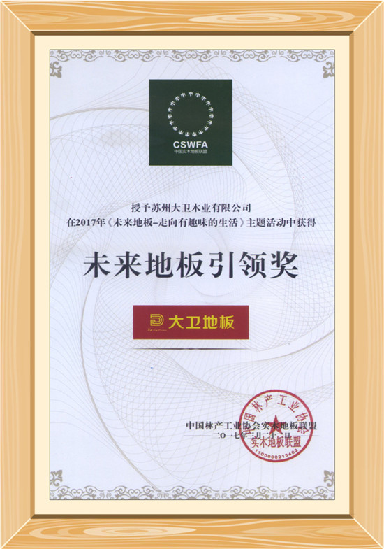 未來地板引領(lǐng)獎(jiǎng).jpg