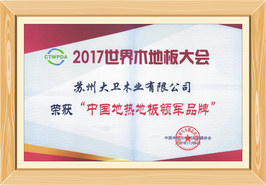 大衛(wèi)地板榮獲“中國地?zé)岬匕孱I(lǐng)軍品牌”0.jpg
